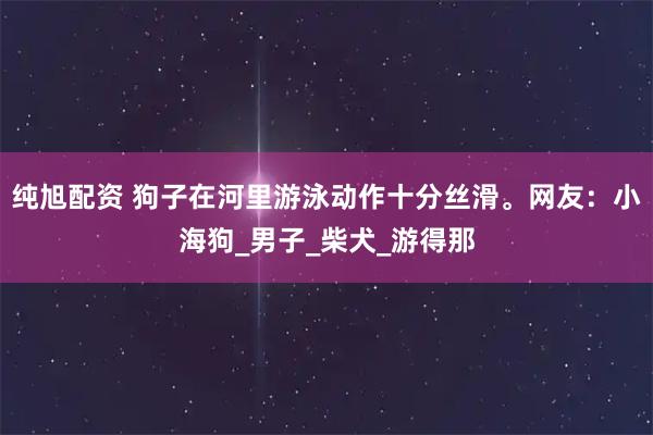 纯旭配资 狗子在河里游泳动作十分丝滑。网友：小海狗_男子_柴犬_游得那